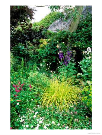 Country Garden With Colourful Perennials, Pond, Greenhouse And Statues, Sharcott Manor, Wiltshire by Lynn Keddie Pricing Limited Edition Print image