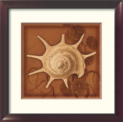 Shell by Lisa Steinkamp Pricing Limited Edition Print image