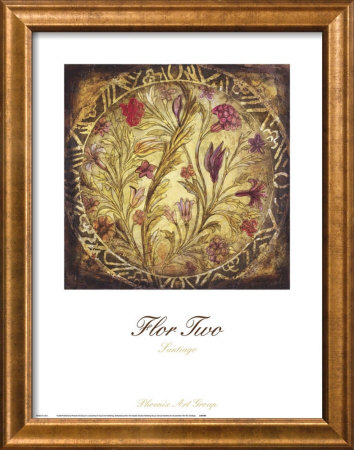 Flor Ii by Santiago Pricing Limited Edition Print image