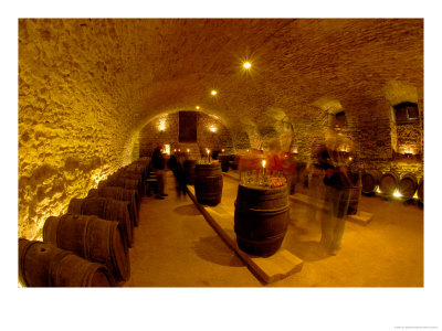 Wine Cellar Of Chateau De Pierreclos, Burgundy, France by Lisa S. Engelbrecht Pricing Limited Edition Print image