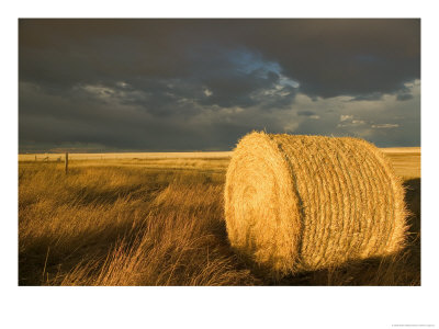 Landscape And Hay Roll In Alberta, Canada by Walter Bibikow Pricing Limited Edition Print image