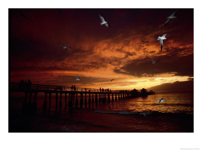Sunset, Naples Pier by Jim Schwabel Pricing Limited Edition Print image