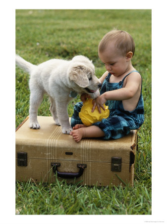 Baby Girl Playing With Puppy by Chris Lowe Pricing Limited Edition Print image