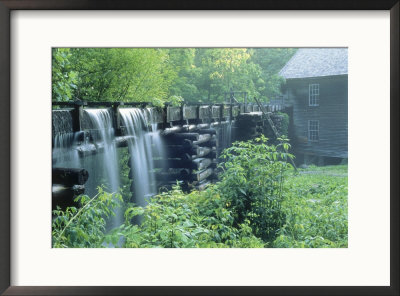 Great Smoky Mountain National Park, Tn by Craig J. Brown Pricing Limited Edition Print image