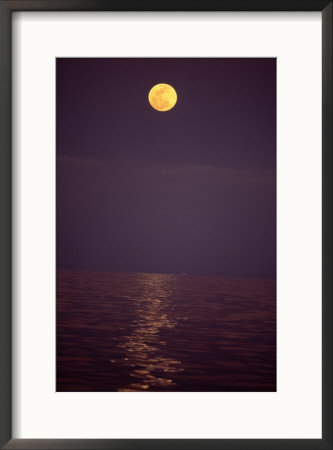 Moonrise, Cabo San Lucas, Baja California, Mexico by Yvette Cardozo Pricing Limited Edition Print image
