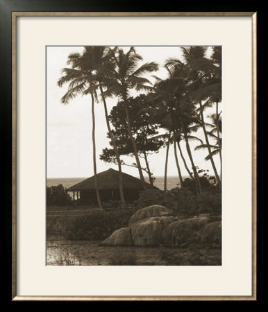 Hut, Palm Trees And Water by Alexis De Vilar Pricing Limited Edition Print image