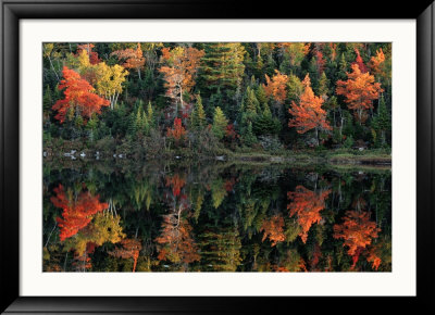 Autumn Foliage Reflected In A Canadian Lake by Raymond Gehman Pricing Limited Edition Print image