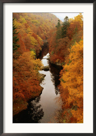 Autumn Foliage By Tummel River, Killiecrankie, United Kingdom by Bethune Carmichael Pricing Limited Edition Print image