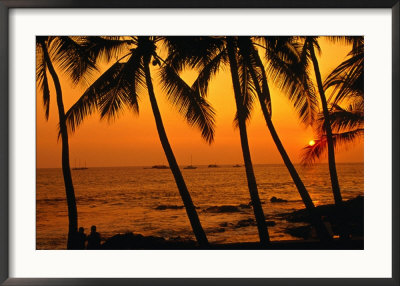 A Couple In Silhouette, Enjoying A Romantic Sunset Beneath The Palm Trees In Kailua-Kona, Hawaii by Ann Cecil Pricing Limited Edition Print image