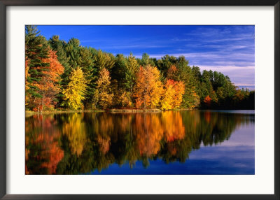 Autumn Trees In New Hampshire, New Hampshire, Usa by Carol Polich Pricing Limited Edition Print image