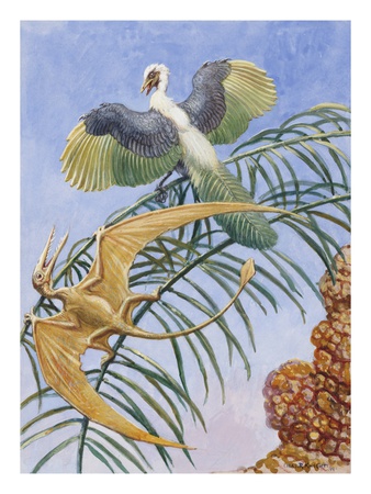 Archaeopteryx And Pterosaurs Were Some Of The First Flying Lifeforms by National Geographic Society Pricing Limited Edition Print image
