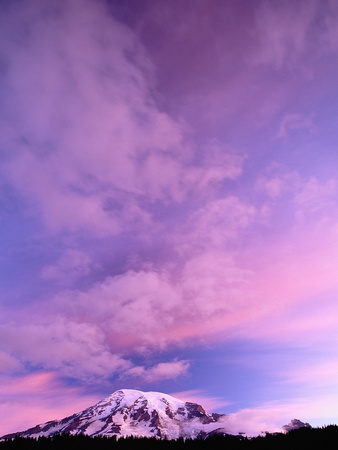 Pink Clouds Above Mount Rainier by Pat O'hara Pricing Limited Edition Print image