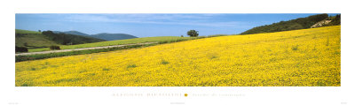 Tuscan Landscape by Alfonso Bietolini Pricing Limited Edition Print image