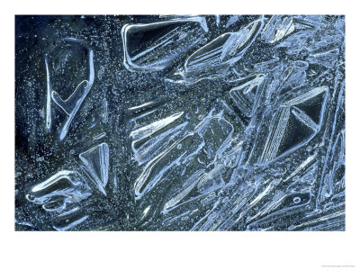Ice Pattern In River Feshie, Close-Up Detail Strathspey, Scotland by Mark Hamblin Pricing Limited Edition Print image