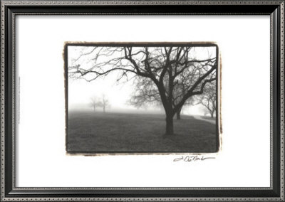 Distant Trees by Laura Denardo Pricing Limited Edition Print image