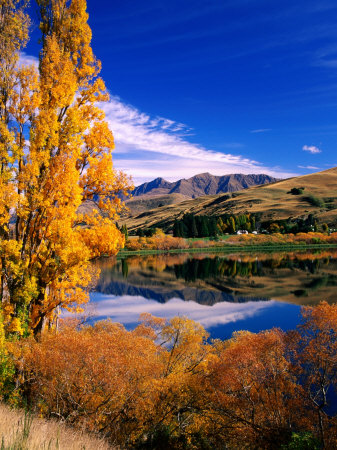 Lake Hayes Near Arrowtown, New Zealand by David Wall Pricing Limited Edition Print image