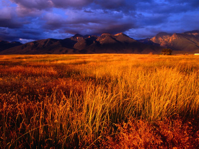 Mission Mountains At Sunset In The Flathead Indian Reservation, Montana, Usa by Gareth Mccormack Pricing Limited Edition Print image