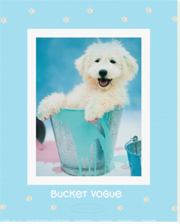 Bucket Vogue by Rachael Hale Pricing Limited Edition Print image