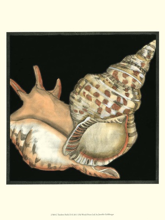 Tandem Shells Ii by Jennifer Goldberger Pricing Limited Edition Print image