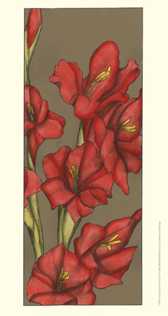 Graphic Flower Panel Ii by Jennifer Goldberger Pricing Limited Edition Print image