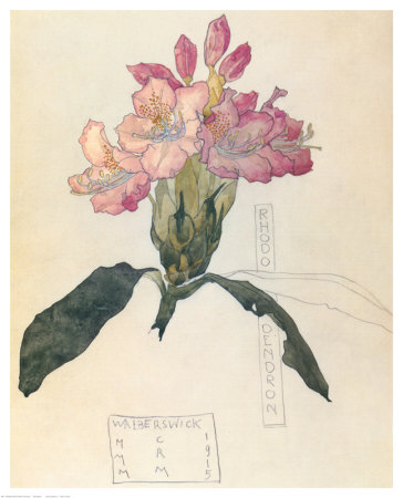 Rhodendron by Charles Rennie Mackintosh Pricing Limited Edition Print image