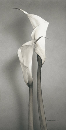 Twin Callas Ii by Kory Fluckiger Pricing Limited Edition Print image