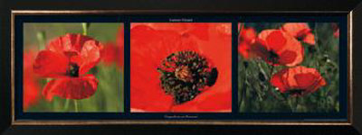 Coquelicots En Provence by Laurent Pinsard Pricing Limited Edition Print image