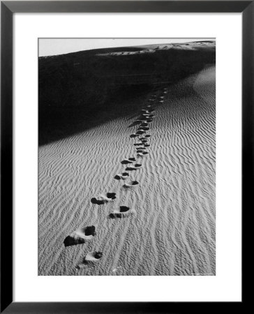 Footprints On Sand Dunes Of North Carolina Beach by Fritz Goro Pricing Limited Edition Print image