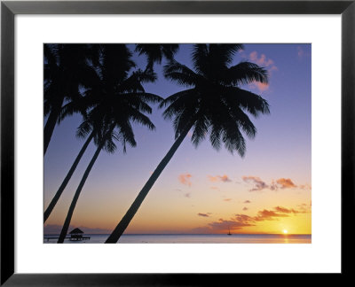 Pam Tree And Beach At Sunset, Tahiti, French Polynesia by Neil Farrin Pricing Limited Edition Print image