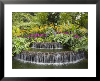 National Orchid Garden In Botanic Gardens, Singapore, Southeast Asia by Pearl Bucknall Pricing Limited Edition Print image