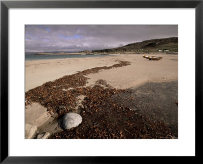 Seaweed On Beach, Mellon Udrigle, Wester Ross, Highland Region, Scotland, United Kingdom by Neale Clarke Pricing Limited Edition Print image
