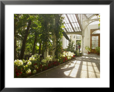 Interior Of The Temperate House, Kew Gardens, Unesco World Heritage Site, London, England by David Hughes Pricing Limited Edition Print image