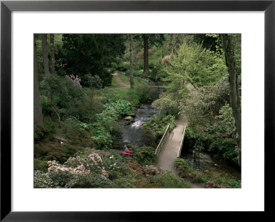 Bodnant Gardens, Gwynedd, North Wales, Wales, United Kingdom by Roy Rainford Pricing Limited Edition Print image