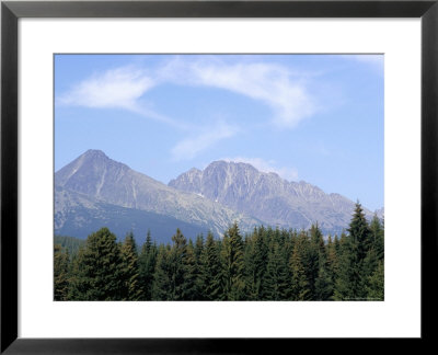 Mountain Pines, Vysoke Tatry Mountains, Vysoke Tatry, Slovakia by Richard Nebesky Pricing Limited Edition Print image