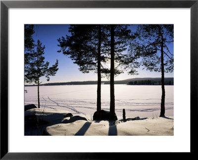 Lake Maridal (Maridalsvannet), Oslo's Reservoir, Oslo, Norway, Scandinavia by Kim Hart Pricing Limited Edition Print image