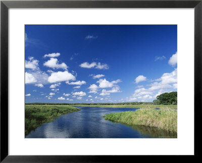 View From Riverbank Of White Clouds And Blue Sky, Myakka River State Park, Near Sarasota, Usa by Ruth Tomlinson Pricing Limited Edition Print image