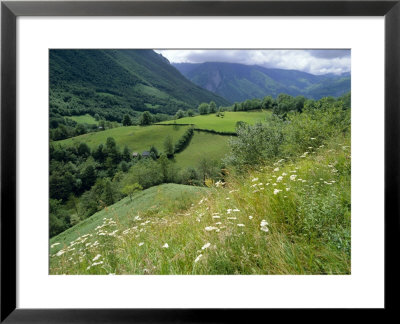 Valley Of The River Berthe Near Accous, Bearn, Pyrenees, Aquitaine, France, Europe by David Hughes Pricing Limited Edition Print image
