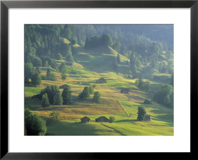Alpine Meadow, Switzerland by Jon Arnold Pricing Limited Edition Print image