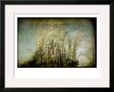 Grove Of Trees by Mia Friedrich Pricing Limited Edition Print image