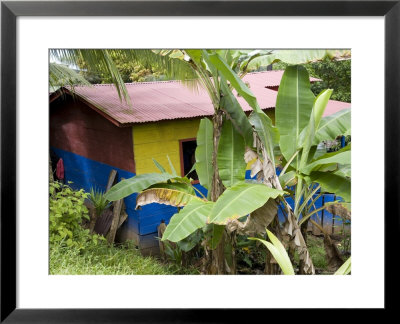 Colorful Home In The Nicaraguan Town Along Costa Rican Border by David Evans Pricing Limited Edition Print image