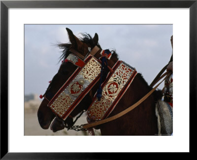 Ornate Harness On A Horse In Benghazi by James L. Stanfield Pricing Limited Edition Print image