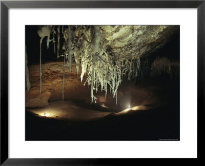 Cave Formations Called Helictites Hang In The Enormous Junction Room by Stephen Alvarez Pricing Limited Edition Print image