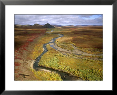 Fall Color On The Central North Slope Of Alaska, North Slope, Alaska by Joel Sartore Pricing Limited Edition Print image