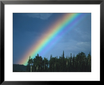 Rainbow Over Forest, British Columbia, Canada by Nick Norman Pricing Limited Edition Print image
