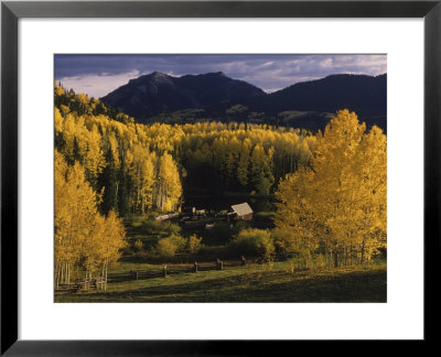 Farm Nestled Among Aspen Trees In Fall Colors And Mountains, Telluride, Colorado by Annie Griffiths Belt Pricing Limited Edition Print image