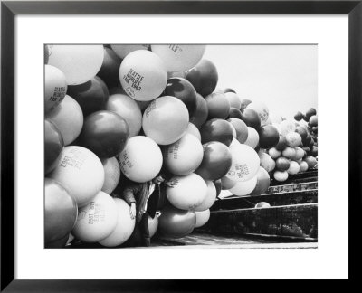 Balloons Lying On Ground Prior To Release by Ralph Crane Pricing Limited Edition Print image