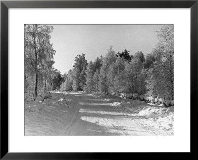 Snow Covering Countryside Northeast Of Lake Ladoga by Carl Mydans Pricing Limited Edition Print image