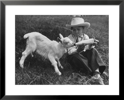 Little White Goat Being Fed From Bottle By Little Boy, At White Horse Ranch by William C. Shrout Pricing Limited Edition Print image