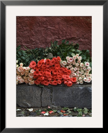 Roses For Sale On Street, San Miguel De Allende, Mexico by Nancy Rotenberg Pricing Limited Edition Print image