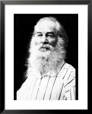 Walt Whitman by Mathew B. Brady Pricing Limited Edition Print image